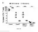 Fig. 07 - Methods and pharmaceutical compositions for inducing immune tolerance by mucosal vaccination with Fc-coupled antigens