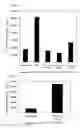 Fig. 02 - HLA-DR-binding antigen peptide derived from WT1