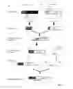 Fig. 02 - Immunogenic compositions containing bacterial outer membrane vesicles