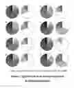 Fig. 02 - Targets of 