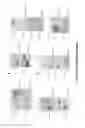 Fig. 06 - Targets of 