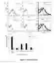 Fig. 08 - Targets of 