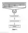 Fig. 02 - Human herpesvirus immunotherapy