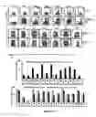 Fig. 06 - Human herpesvirus immunotherapy