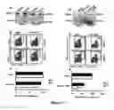 Fig. 12 - Human herpesvirus immunotherapy