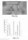 Fig. 09 - PORCINE IMMUNE MODULATION MODEL