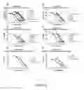 Fig. 09 - IL33 form, mutated forms of IL33, antibodies, assays and methods of using the same