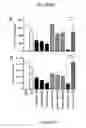 Fig. 47 - IL33 form, mutated forms of IL33, antibodies, assays and methods of using the same
