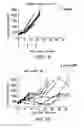 Fig. 04 - Modulation of tumor immunity
