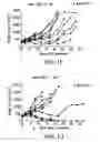 Fig. 06 - Modulation of tumor immunity