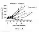 Fig. 07 - Modulation of tumor immunity