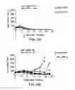 Fig. 08 - Modulation of tumor immunity