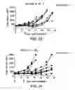 Fig. 10 - Modulation of tumor immunity