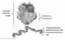 Fig. 01 - ISOFORM-SPECIFIC, CONTEXT-PERMISSIVE TGFB1 INHIBITORS AND USE THEREOF