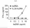 Fig. 14 - IL-26 inhibitors