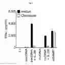 Fig. 15 - IL-26 inhibitors