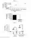 Fig. 16 - IL-26 inhibitors