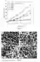 Fig. 07 - Polysaccharide-based hydrogels and hybrid hydrogels and precursors thereof, methods of making same, and uses thereof