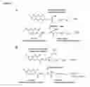 Fig. 02 - Fluorescent prodrugs