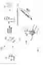 Fig. 02 - Method for mitigating osteoporosis using metallic gold cluster molecules