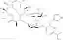 Fig. 22 - NANOPARTICLES FOR SUSTAINED OPHTHALMIC DRUG DELIVERY AND METHODS OF USE