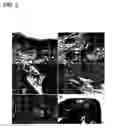 Fig. 03 - Macromolecular delivery systems for non-invasive imaging, evaluation and treatment of arthritis and other inflammatory diseases