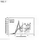 Fig. 08 - Macromolecular delivery systems for non-invasive imaging, evaluation and treatment of arthritis and other inflammatory diseases