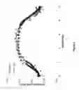 Fig. 09 - SPATIAL CONTROL OF ADDITIVES BY HIGH TEMPERATURE