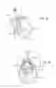 Fig. 02 - Capnoxygen masks