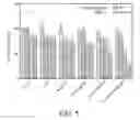 Fig. 07 - Therapy for glioblastoma multiforme