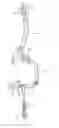 Fig. 01 - Fire suppression system with multi-directional pass through nozzle