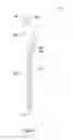 Fig. 04 - Lacrosse Training Device
