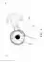 Fig. 04 - ELLIPTICAL TRAINER