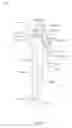 Fig. 12 - APPARATUS AND METHODS FOR EXERCISING A LIMB OF A USER