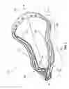 Fig. 02 - Lacrosse Head with Improved Features