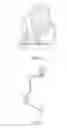Fig. 06 - Vacuuming apparatus