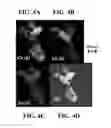 Fig. 07 - CATALYST FOR LOW TEMPERATURE EMISSION CONTROL AND METHODS FOR USING SAME