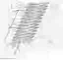 Fig. 01 - Extruded Profile Produced with Rotating Shaping Dies