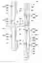Fig. 01 - Binding tool and file