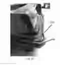 Fig. 29 - Paint tray and paint tray liner