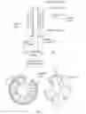 Fig. 04 - Electric power assisted steering system