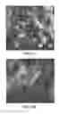 Fig. 35 - METHODS OF FORMING CARBON NANOTUBES HAVING A BIMODAL SIZE DISTRIBUTION