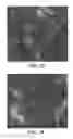 Fig. 43 - METHODS OF FORMING CARBON NANOTUBES HAVING A BIMODAL SIZE DISTRIBUTION