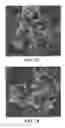 Fig. 45 - METHODS OF FORMING CARBON NANOTUBES HAVING A BIMODAL SIZE DISTRIBUTION