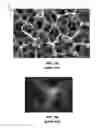 Fig. 02 - Three-dimensional deterministic graphene architectures formed using three-dimensional templates