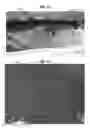 Fig. 09 - System for cleansing organisms from water