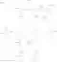 Fig. 34 - Urea derivative or pharmacologically acceptable salt thereof