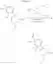 Fig. 409 - TRPV1 antagonists including dihydroxy substituent and uses thereof