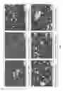 Fig. 53 - Pharmaceutical composition comprising a crystal form of (S)-4-(8-amino-3-(1-(but-2-ynoyl) pyrrolidin-2-yl)imidazo[1,5-a]pyrazin-1-yl)-N-(pyridin-2-yl)benzamide