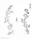Fig. 07 - Polymorphs of ponatinib hydrochloride